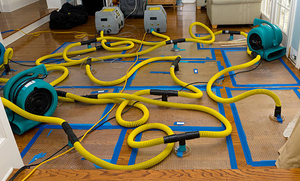 Professional Storm Water Damage Restoration technician working in Warsaw, MN